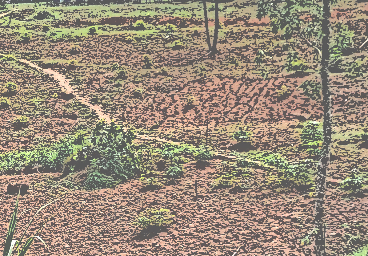 Soil erosion in Rwanda